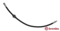 Brembo T 68 070 Bremsschlauch Vorne Links Rechts FüR Renault