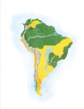 South America