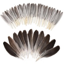 iHUFeather 270pcs Natural Gray Goose Feathers for Crafts 2
