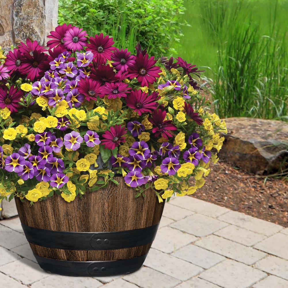 Plantenbak uit whiskyton zwarte band 40x65cm