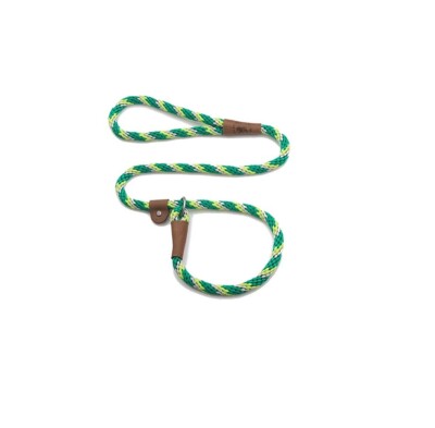 MENDOTA Slip Lead for Dogs Ivy 3/8 x 6' 