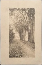 Bridgeport Texas Postcard 1909 Wise County woodland Litho Hand Drawing