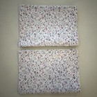Pottery Barn Kids Set 2 Standard Pillowcases Purple Roses Floral Shabby
