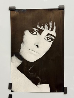 Rare 1981 Siouxsie & The Banshees Juju Promo Poster  14.5'' x 23''