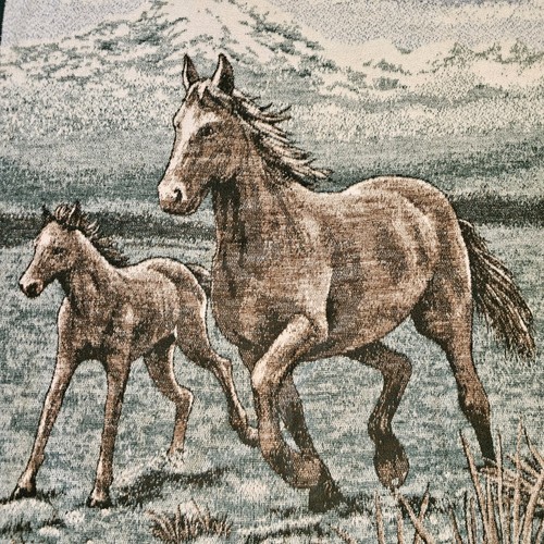 Vintage Biederlack Blanket Western Running Horses Reversible Green Mountains USA - Picture 3 of 11