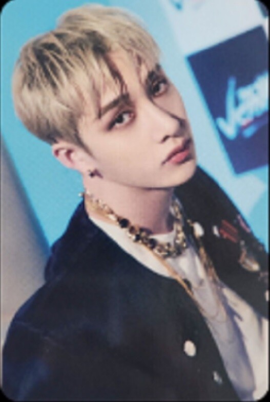 STRAY KIDS x SKZOO POP UP STORE The Victory OFFICIAL PHOTO CARD