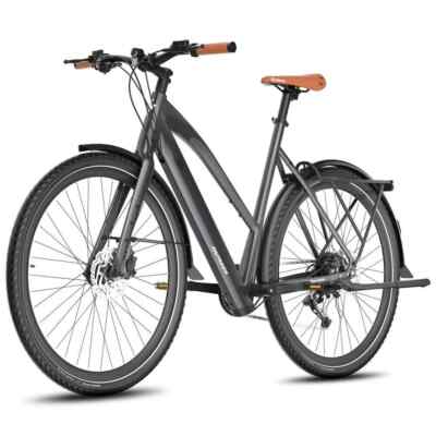 FAFREES F700W Elektrofahrrad 700C*45C 28 Zoll E-Bike 250W 36V Pedelec e Citybike