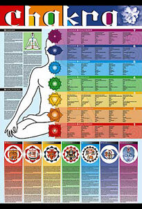 Chakra Body Chart