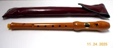 Vintage GILL MUSICAL RECORDER WOODEN FLUTE Made in Israel Original Bag-Excellent