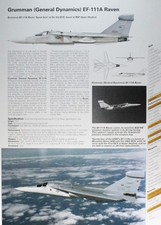 Raven Grumman General Dynamics Picture Vtg Aircraft Info Sheet Wall Art