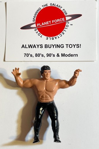 1985 Ricky The Dragon Steamboat Complete WWF Bendi...