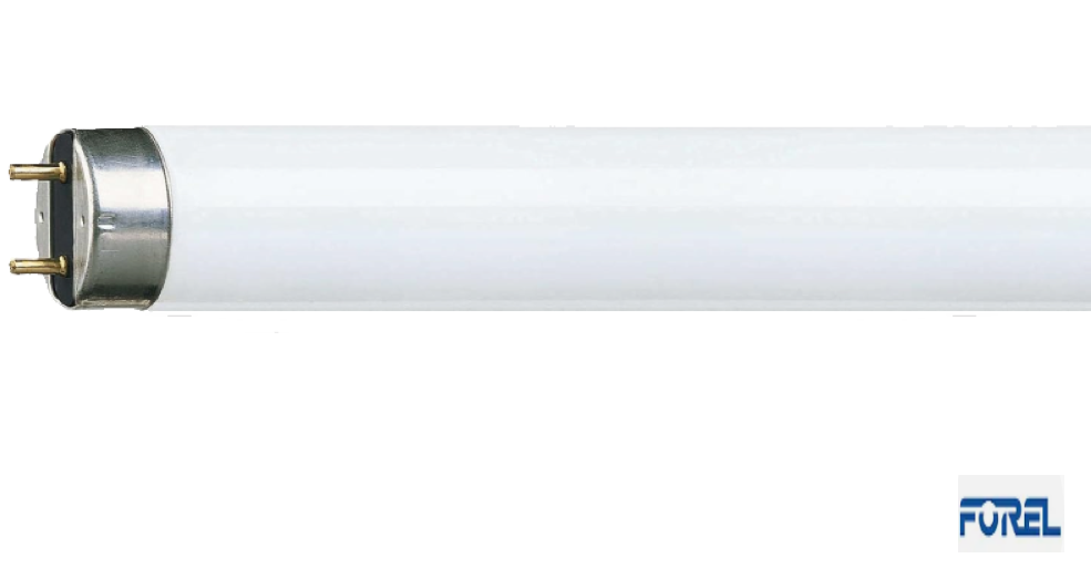 PHILIPS LAMPADINA NEON  MASTER TL-D Super 80 1m 36W/830