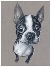 artav Boston Terrier 08 Art Print Dog Puppy Painting