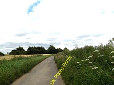 Photo 6x4 Clay Hall Lane, Blo' Norton Near Willow Farm c2016