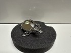 Swarovski Kristall Schildkröte OVP Zertifikat