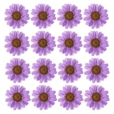 48 Pcs Dried Pressed Flower Natural Dried Daisy Flower,Deep Purple