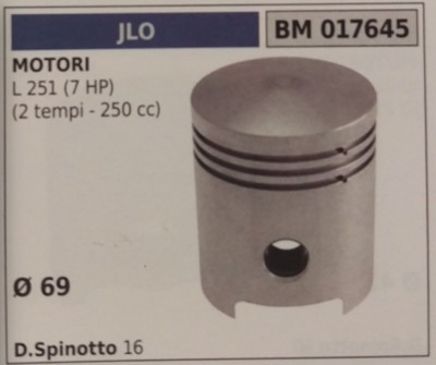 Kompletter Kolben Mit Segmenten Und Spin Motor JLO L 251 (2T 250CC 7HP) Ø 69