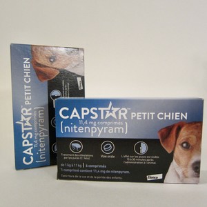 capstar for dogs and cats 2 to 25 lbs