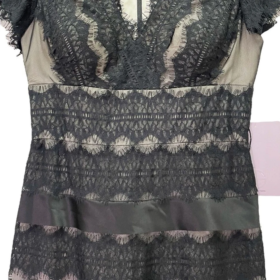 NWT JS Collections Black Nude Lace Illusion Midi Dress Sheer Stripe Size 6 NEW - Image 4 of 4