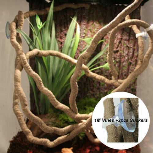 Terrarium Reptile Flexible Jungle Vines Flexible Bendable Decoration Accessories - Photo 1 sur 7