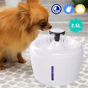 auto dog water bottle
