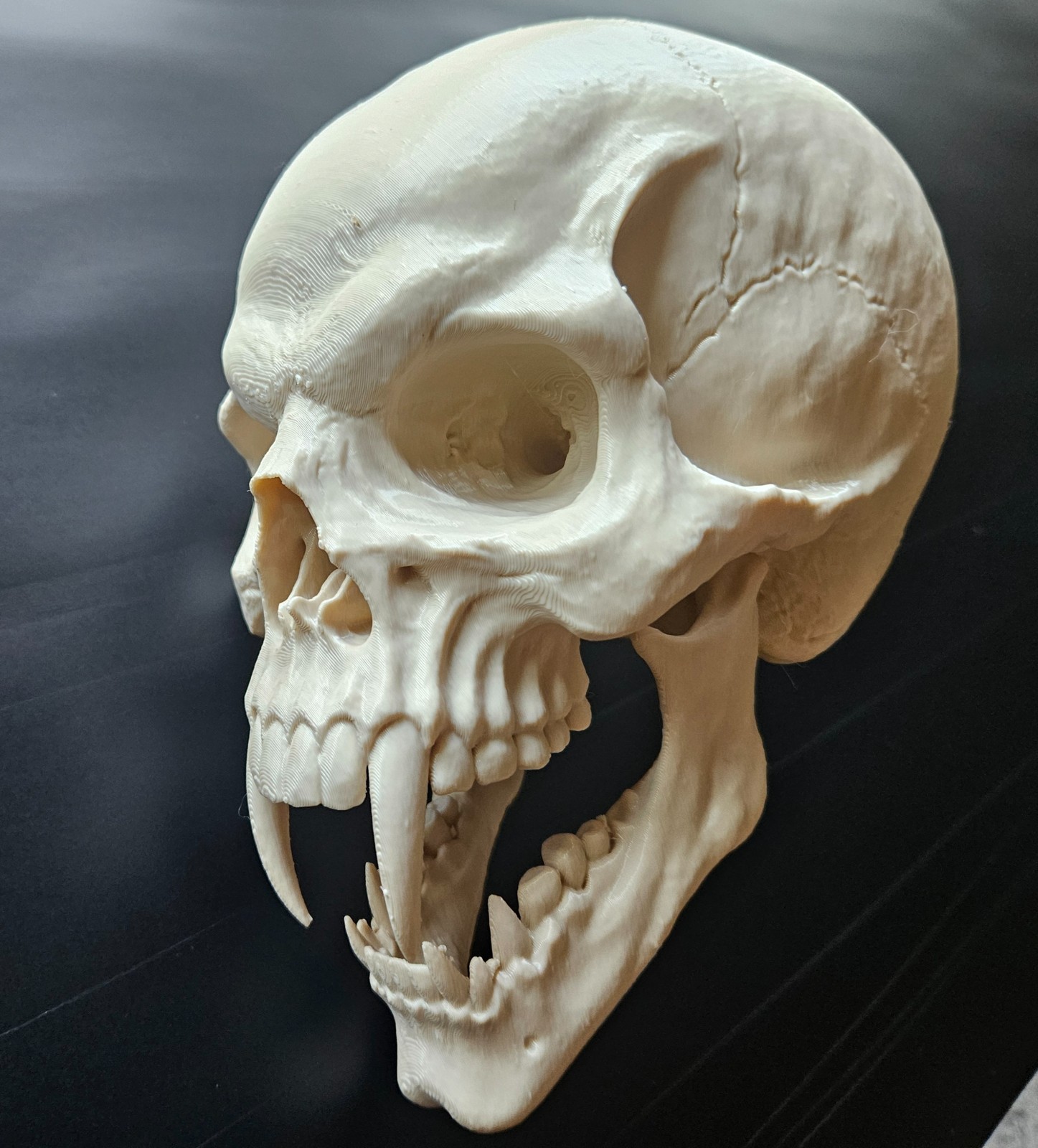 Human head vampire skull - FAST SHIPPING