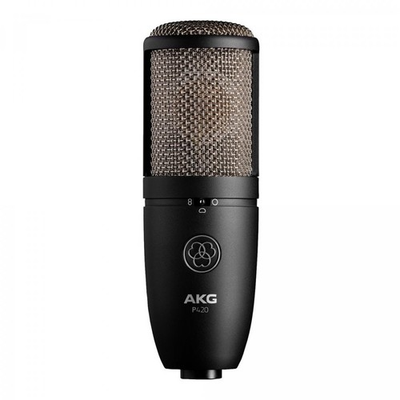#ad AKG Perception Series True Condenser Multi Pattern Microphone P420 $259.00
