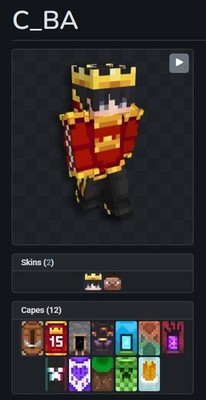 RARES CAPES (12) MINECRAFT ACCOUNT Full Access