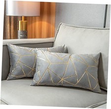 Pack of 2 Soft Velvet Lumbar Throw Pillow Covers 20" x 12" Pack of 2 Grey