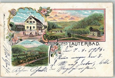 13653679 - 7290 Lauterbad Lithographie Gasthaus zum gruenen Wald Jungviehweide 