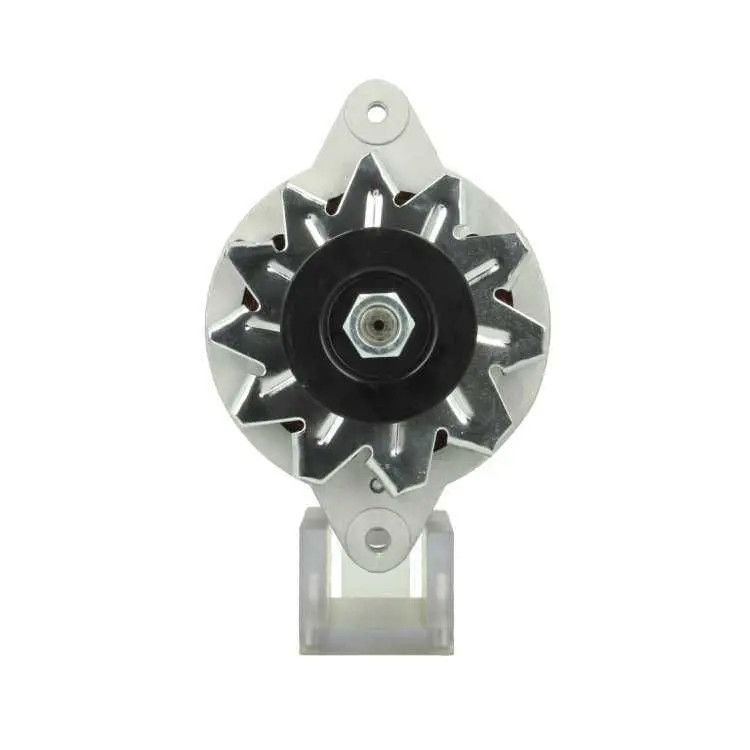 Alternatore 165.003.035.080 BV PSH