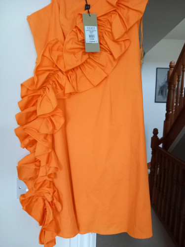Coast Camille Ruffle Cotton SIZE 10 dress - Picture 7 of 9