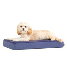 New Barkbox Orthopedic Dog Bed Comfortable Memory Foam Mattress for Joint Relief