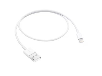 Apple Lightning to USB Cable 0.5m