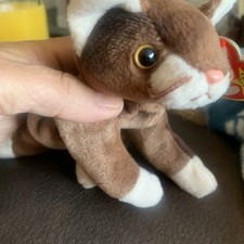 Rare Retired Ty Beanie Baby Pounce The Cat 1997 Plush Mint With TAG Errors