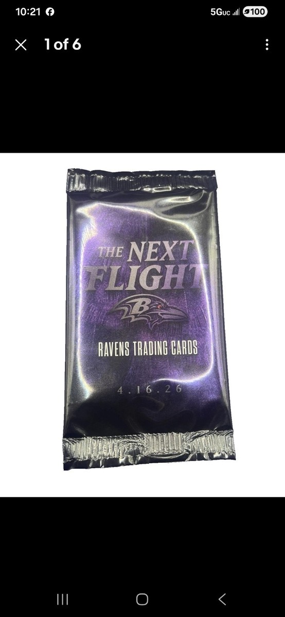 PVCカード付き ゴーストスイーツ RAVENS THE Baltimore PICNIC – Utensils with Cooler Bag Lunch Pranzo - Ravens 邦楽