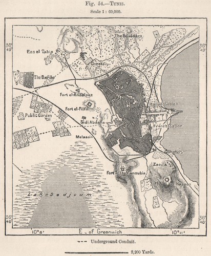 Tunis. Tunisia 1885 old antique vintage map plan chart