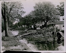 LG859 1943 Original Photo SEATTLE STORM DAMAGE Queen Anne Boulevard Trees Down