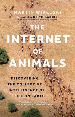 The Internet of Animals: Discovering the Collective Intelligence of Life on Eart