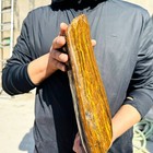 12.65LB Natural Tiger Eye Crystal Stone Freeform Polished Healing Decor — photo 10