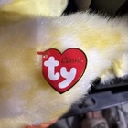 Ty Classic  "QUACKIE" the Duck-2000-VINTAGE- With Tag  — photo 2