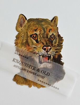 um 1900 Löwin Kopf Raubkatze Tier Glanzbild Prägedruck Ephemera Luxuspapier