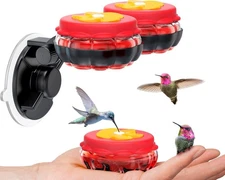 Handheld Small Glass Hummingbird Feeders Set of 4 with Window Suction Mount Base