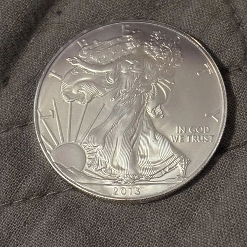 2013 American Silver Eagle 1 Oz  .999 fine Silver Toning