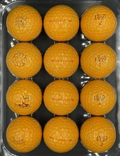 Vice Golf Pro Plus You’ll Never Putt Alone AAA 12 Used Golf Balls 3A