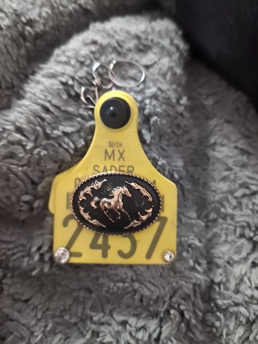Arete De Vaca Llavero Cattle Tag Western Keychain