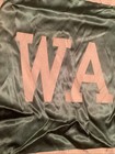 Vintage SOUTH BEND WASHINGTON HIGH SCHOOL HS INDIANA IN Green Satin Pennant 29” — photo 4