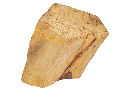 One Assorted Palo Santo Log Piece From Peru: Extra Large (1380-15XL-AS) 8UK24