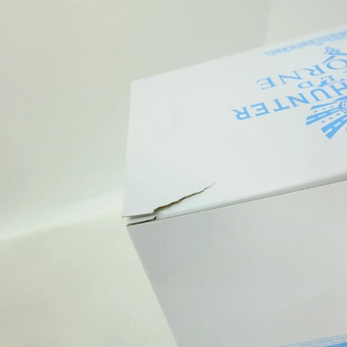 PS4 JAPAN Monster Hunter World IceBorne Master Edition Collector's Package - Picture 5 of 8
