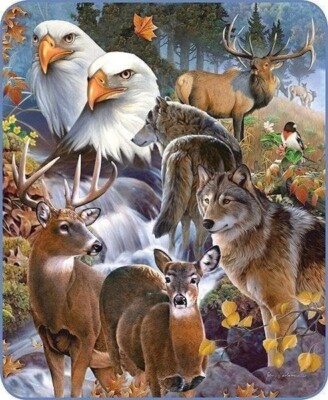 Queen Size Wild Life Collage Eagles Deer Buck Wolves Nature Blanket Faux Fur